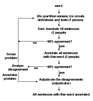 Word Sense Annotation Procedure